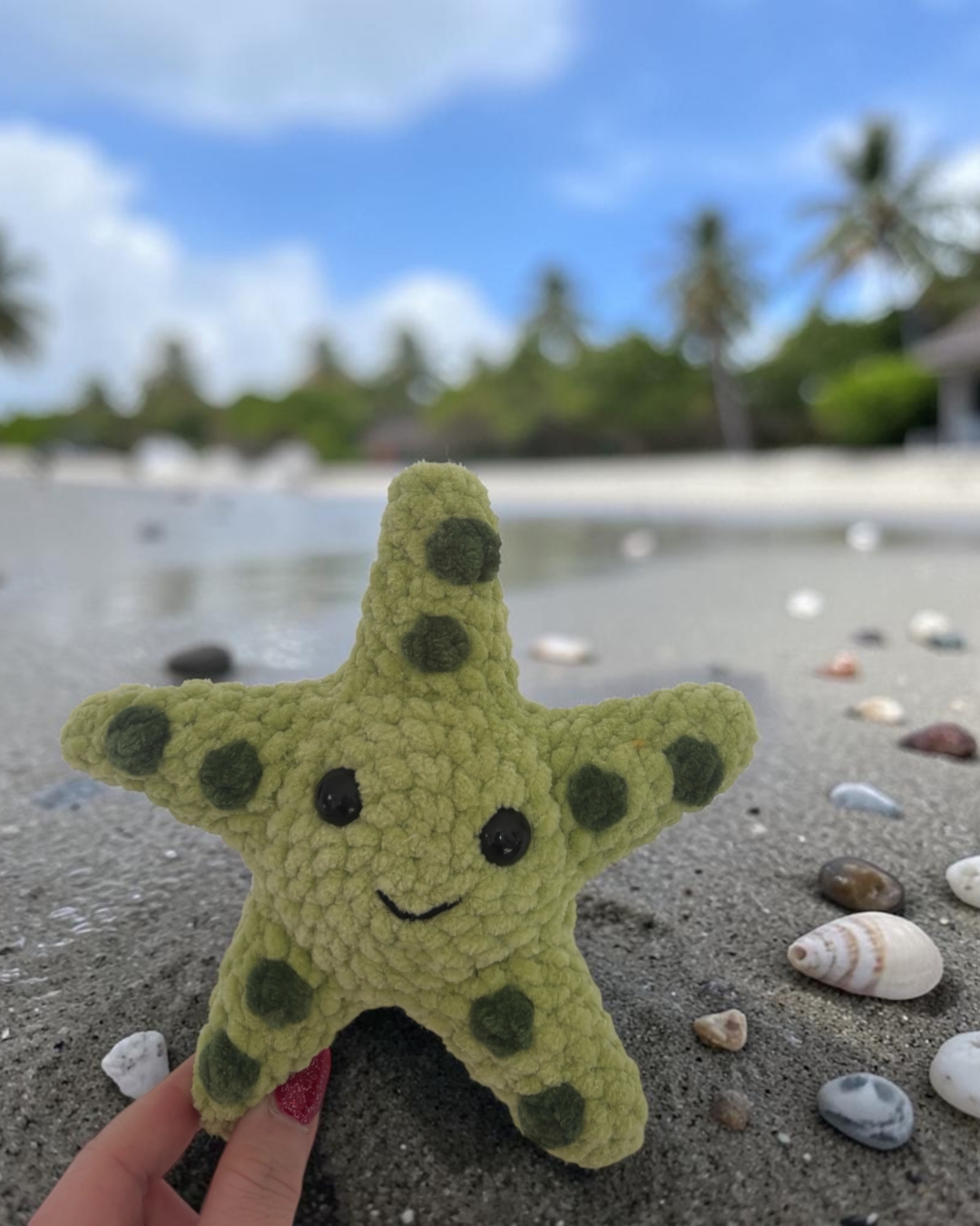 Algi der Seestern ⭐️💚